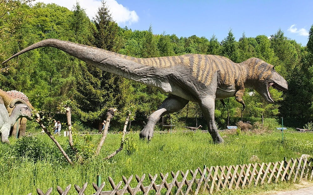 Model tyranozaura w JuraParku Bałtów