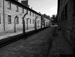 Czarno-biała fotografia obozu w Oświęcimiu, przedstawiająca budynki z cegły i ogrodzenie z drutu kolczastego