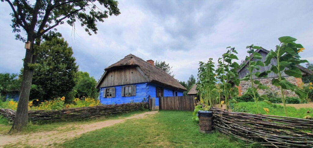 Chałupa z Czermna pomalowana na niebiesko i słoneczniki - Skansen w Sierpcu