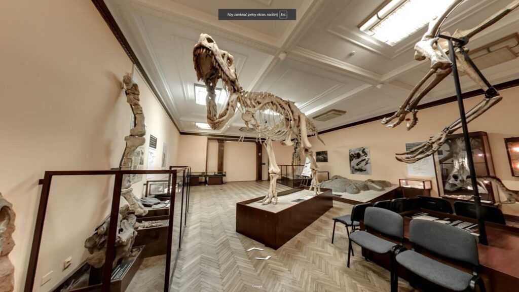 Muzeum Ewolucji w Warszawie - wirtualny spacer