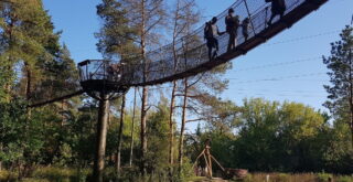 Dolina Wkry - ścieżka w koronie drzew - Pomiechówek